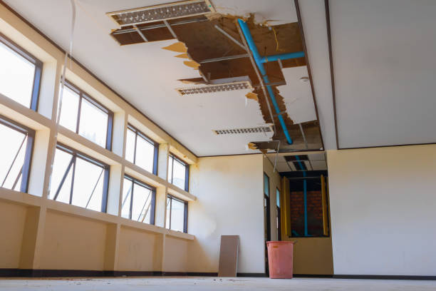 Best Basement water damage restoration  in Estero, FL