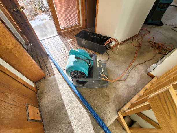 Best Water damage restoration near me  in Estero, FL