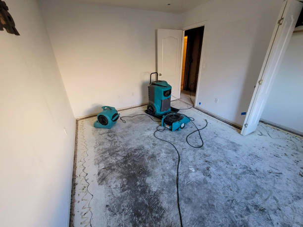 Water damage restoration mold remediation in Estero, FL