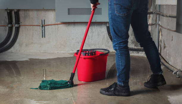 Best Water damage restoration experts  in Estero, FL