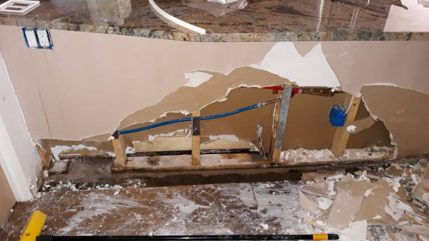 Best Fire Damage Restoration  in Estero, FL