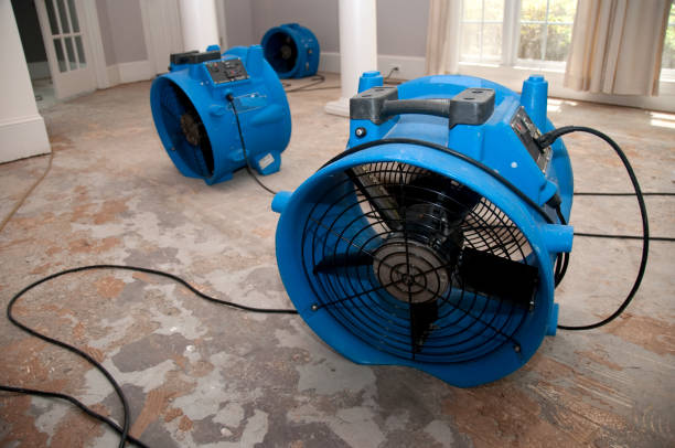 Best Water damage restoration near me  in Estero, FL