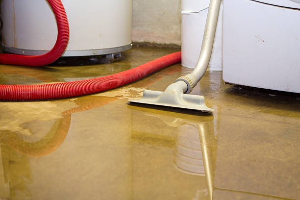 Best Fire Damage Restoration  in Estero, FL