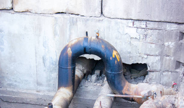 Best Emergency water extraction  in Estero, FL