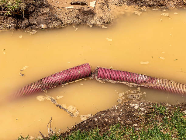 Best Water damage restoration mold remediation  in Estero, FL