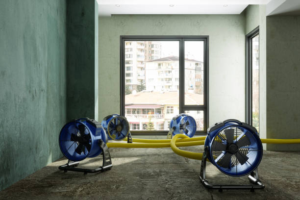 Best Local water damage restoration  in Estero, FL