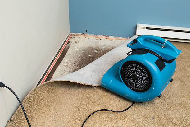 Estero, FL Water damage restoration Company