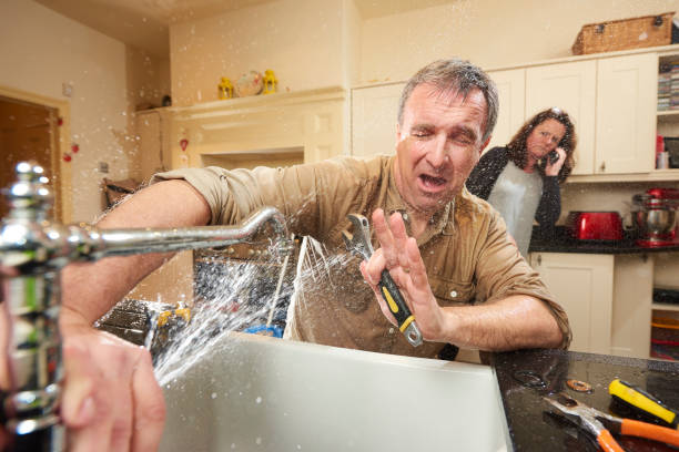Best Fire Damage Restoration  in Estero, FL